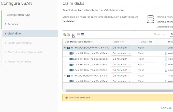 Disks as they appear in the vSAN configuration wizard